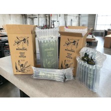 Minelias Naturel Sızma Zeytinyağı 5lt x 2'li Avantaj Paket (Yeni Hasat 2024)