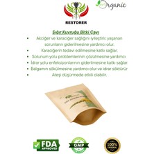 Restorer Sığır Kuyruğu Bitki Çayı
