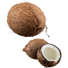 Avogarden Hindistan Cevizi (Kahverengi) (Ithal)
