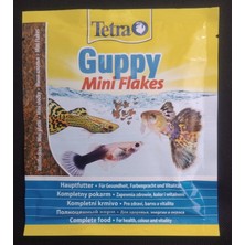 Tetra Tetra Guppy 12 Gr