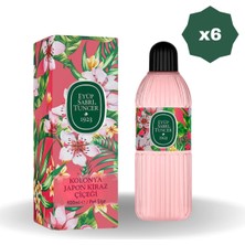 Eyüp Sabri Tuncer Japon Kiraz Çiçeği Kolonyası 400 ml - 6 Adet