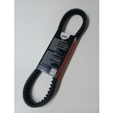 Taktas Motor Apollo 150 Uyumlu Bando Japon Tırtıklı Kayış