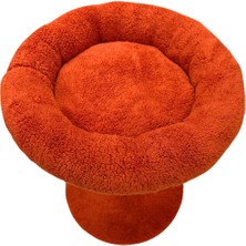 2 Si 1 Arada | Kedi Tırmalama Tahtalı ve Yuvarlak Kedi Yatağı | Yumuşacık Dolgulu Boncul Elyaf, 40 cm Yatak, 55 cm Uzunluk |en Çok Tercih Edilen