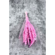 Pembe Bulgur Otu Vazo Aranjman Çiçeği