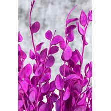 Kurutulmuş Sedef Çiçeği Pembe 15 Dal