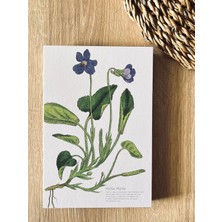 Mcreative Tanıtım Özel Tasarım Baskılı Kapaklı A5 Kareli Defter - 180 Derece Açılabilir, Sırtı DIKIŞLI,%100 El Işçiliği, Ofis Için Ideal, Planlayıcı (Viola Hirta Kapak Tasarımı)