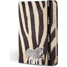 Mcreative Color Kumaş Defter Çizgili Lastikli Zebra