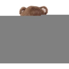 Hediye Çantam 4851 Oturan Küçük Peluş Ayı -My Friend Toys
