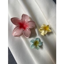 Lotus Toka 3 Lü Mandal toka seti  Model rengi Nar Çiçeği-Sarı-Su Yeşili