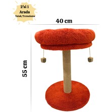 2 Si 1 Arada | Kedi Tırmalama Tahtalı ve Yuvarlak Kedi Yatağı | Yumuşacık Dolgulu Boncul Elyaf, 40 cm Yatak, 55 cm Uzunluk |en Çok Tercih Edilen