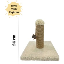 Yavru Kedi Alıştırma Tahtası Tırmalama 24 cm Krem Renk – Tekli ve Kompakt Tasarım, Yavruları Alıştırmak Için, Ideal Boy,