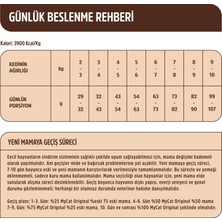 Mycat Orıgınal Az Tahıllı Somon Balıklı ve Tavuk Etli Yetişkin Kedi Maması 2kg