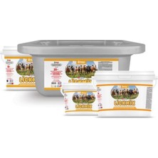 Reva Revitamin Lickmix Iz Mineral Artırıcı Hayvan Premiks Yalama Jeli 4 - 10 - 18 - 25 Kg