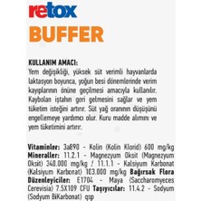 Reva Retox Buffer Toz Premiks Tamponlayıcı Premiks 25KG Kraft
