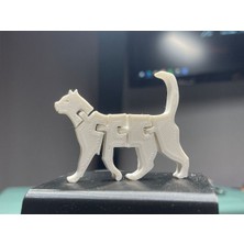 Modelerman Design Esnek Kedi P676006