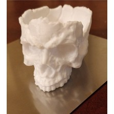 Modelerman Design Kafatası Kasesi T6279902