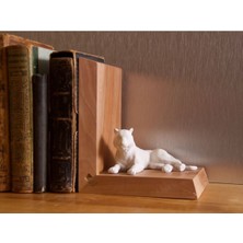 Modelerman Design Kaplan P158241