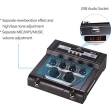 Zuomee Mf-8 Mini Karaoke Ses Ses Karıştırıcısı Çift Mikrofon Girişi Bt Kaydı (Yurt Dışından)