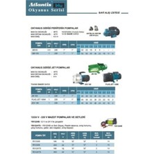 Blu Qb-50 - 0.5 Hp - 220V - Yıldız Fanlı Pompa
