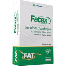 Ligone Berberis Vulgaris + Ligone Mct Oil + Fatex Garcinia Cambogia 3lü ( Avantajlı Paket )