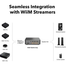 Wıım Vıbelınk Entegre Amplifikatör Space Grey