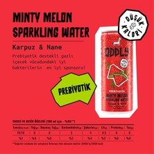 Oddly Saçma İyi Gazlı Içecek Hero İkilisi! Karpuz-Nane, Ananas-Mango Kutu 250 ml 8  Adet