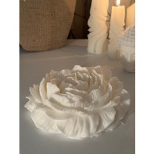 Dev Şakayık Soya Wax Mum