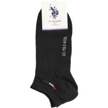 U.s. Polo Assn. Erkek 3'lü Patik Çorap James