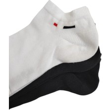 U.s. Polo Assn. Erkek 3'lü Patik Çorap James