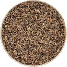 Organic Kiler Devedikeni Tohumu 100GR Elenmiş Yeni Mahsül Organik