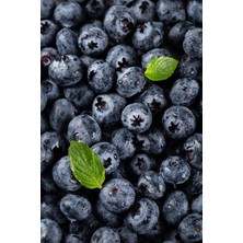 Yaban Mersini 100GR Elenmiş Organik Blueberry