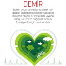 Fıtrina Ferrotrın 60 Kapsül