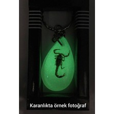 Tesbihkenti Yeşil Renk Akrep Fosilli Anahtarlık Model 4
