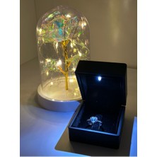 Aaa Dmr Accessoire Işıklı Fanusda Sonsuzluk Gülü ve Işıklı Kutuda Kalp Ciddi Ilişki Yüzüğü Sevgililer Gü (Yurt Dışından)