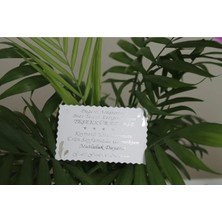 Teşekkür Kartı Gümüş Yaldızlı Özel Kesimli 100 Adet 5,1x8,1 Cm, Teşekkür Kartı Gümüş Yaldızlı