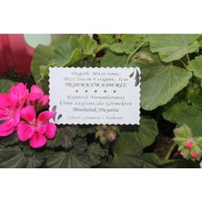 Teşekkür Kartı Gümüş Yaldızlı Özel Kesimli 100 Adet 5,1x8,1 Cm, Teşekkür Kartı Gümüş Yaldızlı