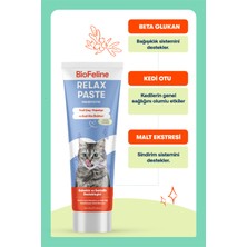 Biofeline Relax Paste 100 gr (Kedi Sakinleştirici Macun)