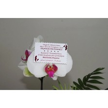 Teşekkür Kartı Fuşya Yaldızlı Özel Kesimli 100 Adet 5,1x8,1 Cm, Teşekkür Kartı