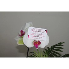 Teşekkür Kartı Fuşya Yaldızlı Özel Kesimli 100 Adet 5,1x8,1 Cm, Teşekkür Kartı