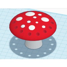 Mantar Takı Organizatörü THN6796536