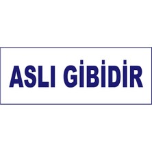 Aslı Gibidir Kaşesi, 912 (51*19 mm) Mavi Keçeli Otomatik Kaşe