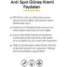 Vegan Glutensiz Anti Spot 50 Spf Güneş Kremi (50ML) Clooe