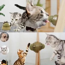 Kedi Nanesi Oyun Topu