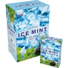 Darshan Ice Mint Geri Akış Tütsü 10 Adet