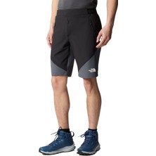 Circadian Alpine Erkek Short - NF0A5IMP