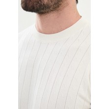 Desenli Slim Fit Bisiklet Yaka Erkek Triko T-Shirt