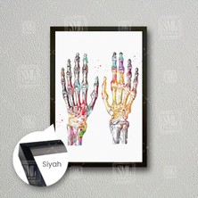 Fizyoterapi Renkli El Anatomisi El Kemikleri Çerçeveli Dikey Kanvas Tablo