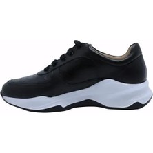 Poletto   Deri Sıyah Sneaker Düz 4257 04 V10