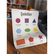 Şekiller Eğitici, Öğretici Özel Duvar Süsü, Flama Duvar Süsü 44 x 64 cm