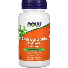 Now Andrographis Extract 400 mg 90 Veg Capsules